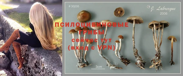 амфетамин Осташков