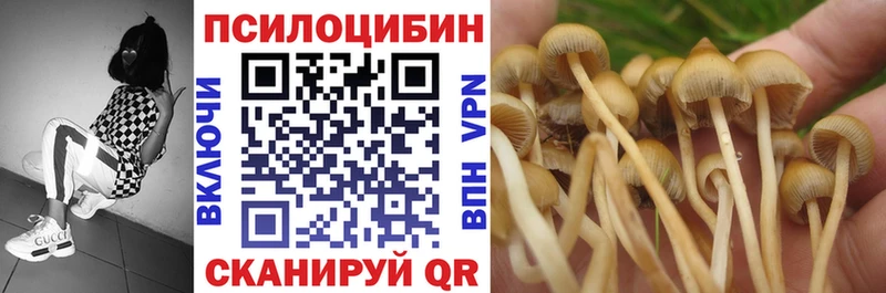 Галлюциногенные грибы прущие грибы  Купить где  Реж 